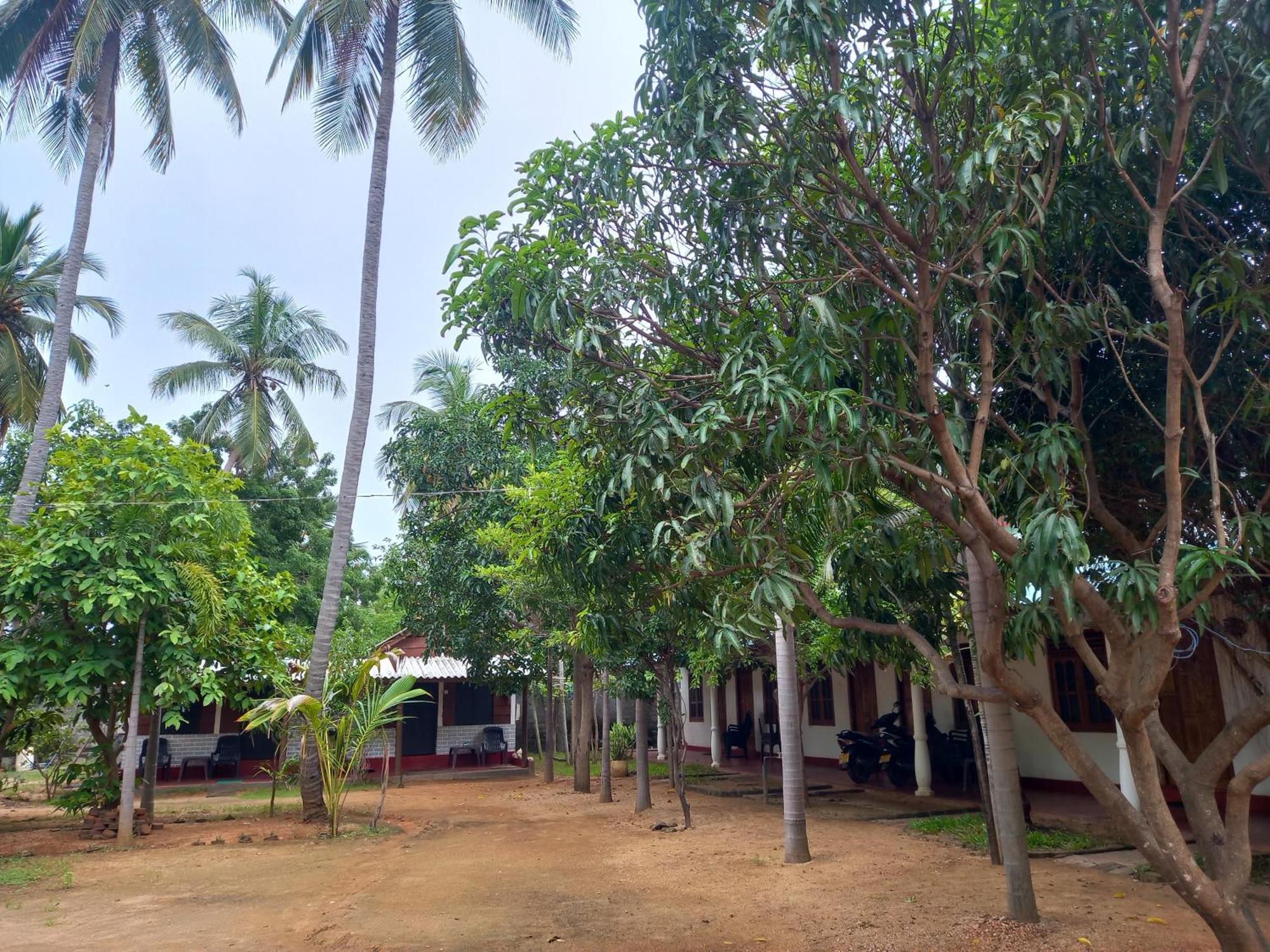 Hotel Sea Shadow Trincomalee Room photo